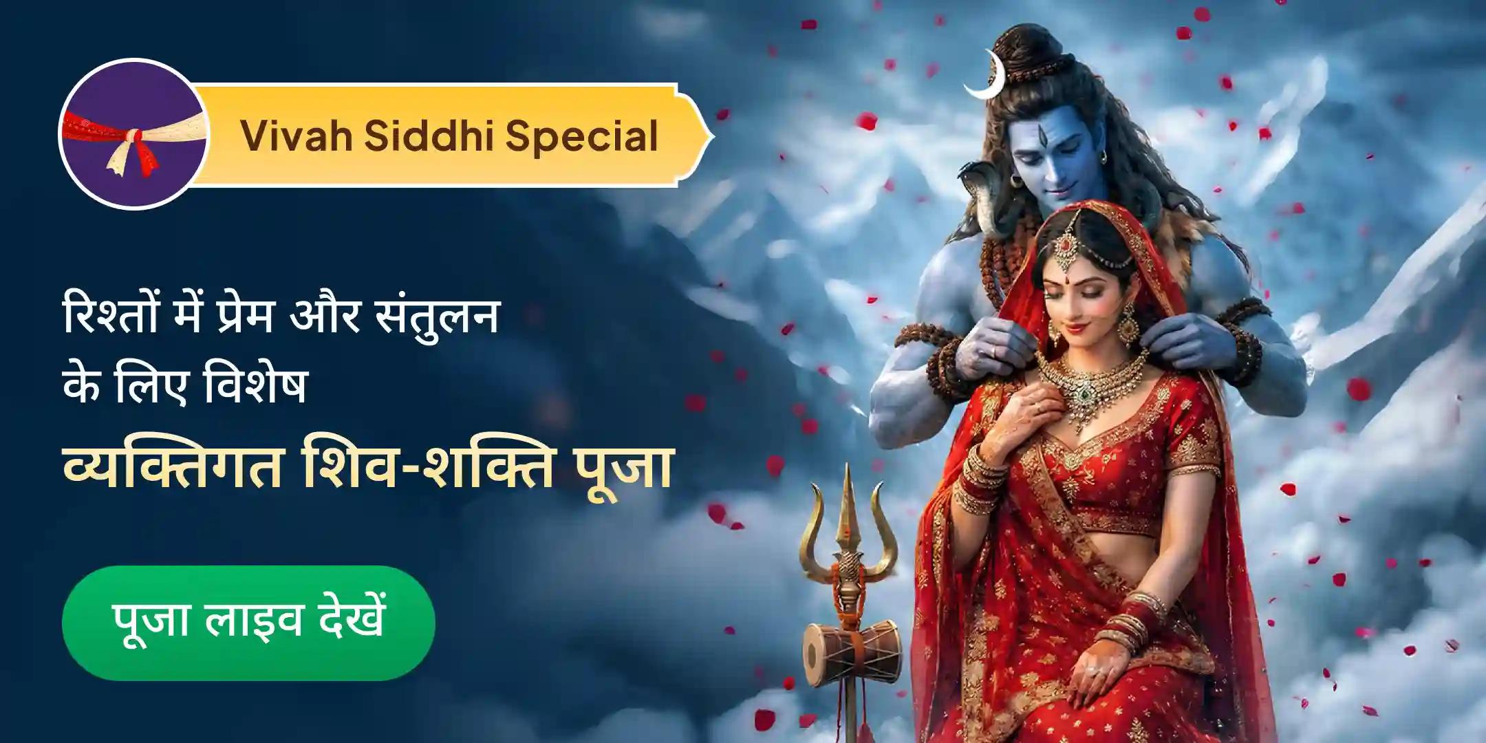 अर्धनारीश्वर विवाह सिद्धि, प्रेम वृद्धि पूजा एवं शिव-शक्ति होम