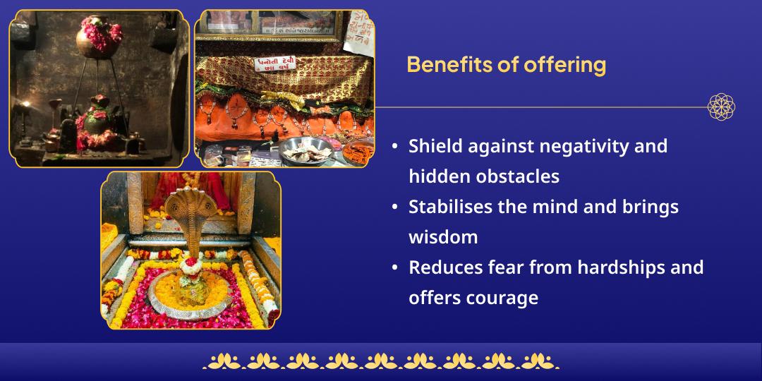 Shrapit Dosh Shanti Rahu-Shani-Shiv Chadhava