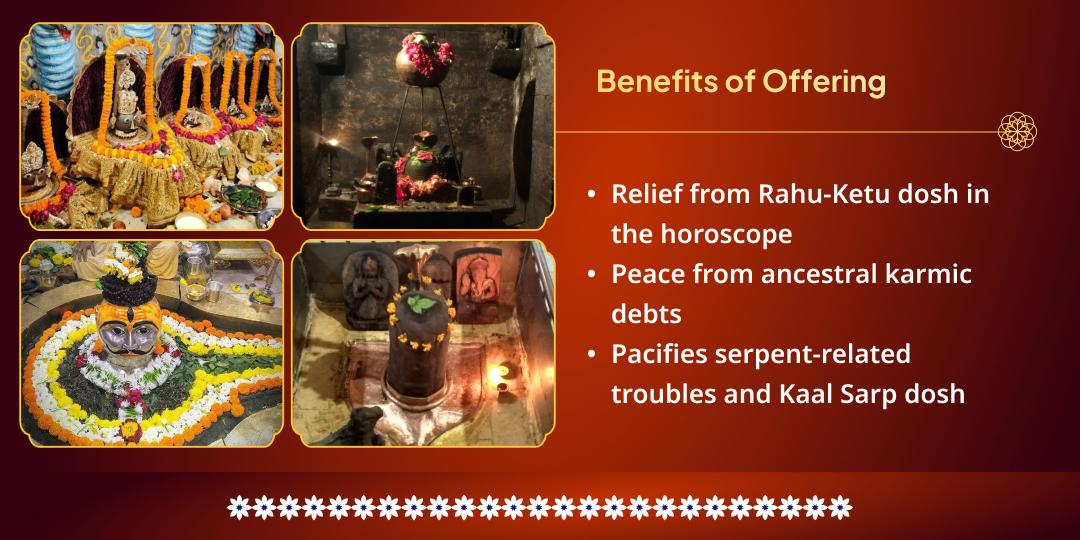 Panchami Tithi Kaal Sarp-Rahu Ketu Shanti 4 Temple Chadhava