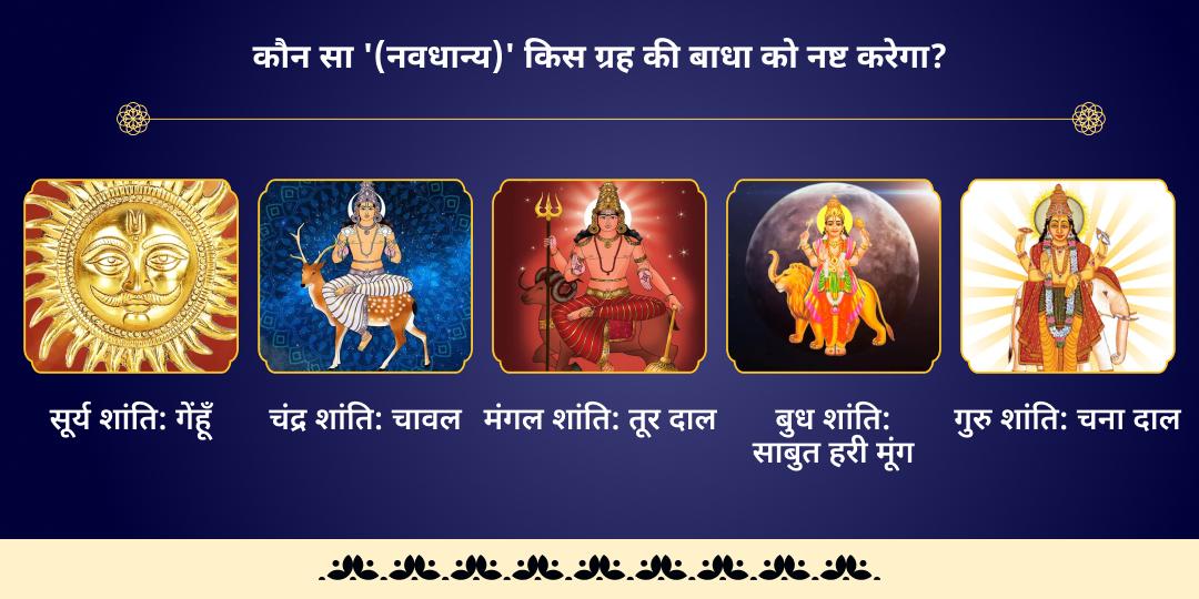 शनि उदय नवग्रह दोष निवारण नवधान्य ब्राह्मण महा-सेवा