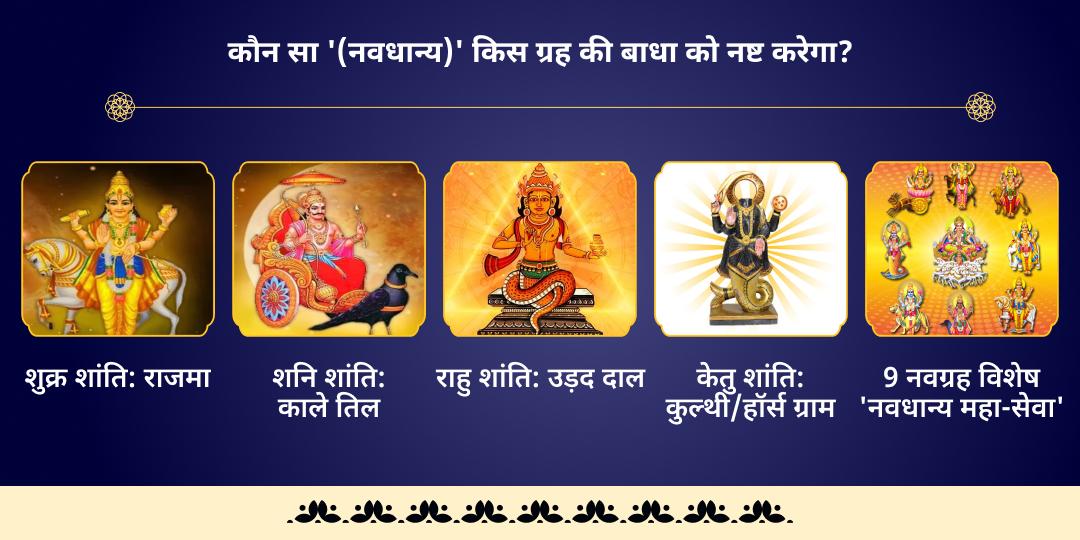 शनि उदय नवग्रह दोष निवारण नवधान्य ब्राह्मण महा-सेवा