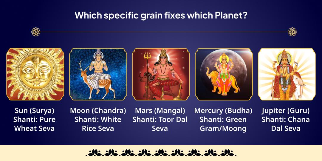 Shani Uday Navagraha Dosha Nivaran Navadhanya Brahmin Maha-Seva