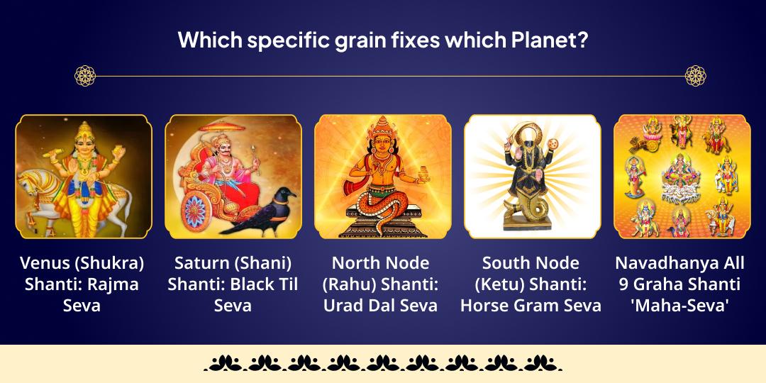 Shani Uday Navagraha Dosha Nivaran Navadhanya Brahmin Maha-Seva