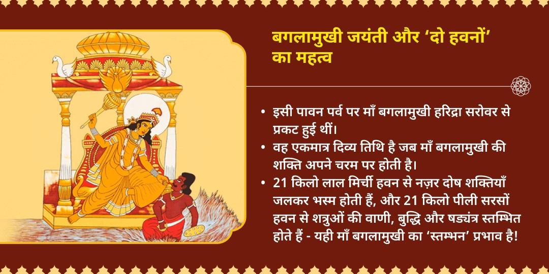 बगलामुखी जयंती 21kg लाल मिर्ची नज़र दोष हवन - 21kg पीली सरसों शत्रु विजय हवन