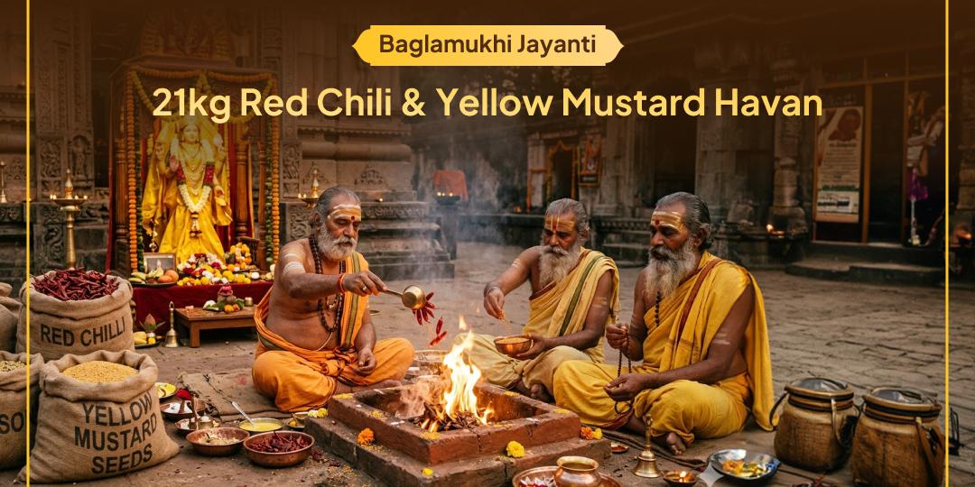 On Baglamukhi Jayanti, offer your oblations in the 21kg Red Chili Havan and 21kg Yellow Mustard Havan simultaneously for Evil Eye Removal and Victory over Enemies!