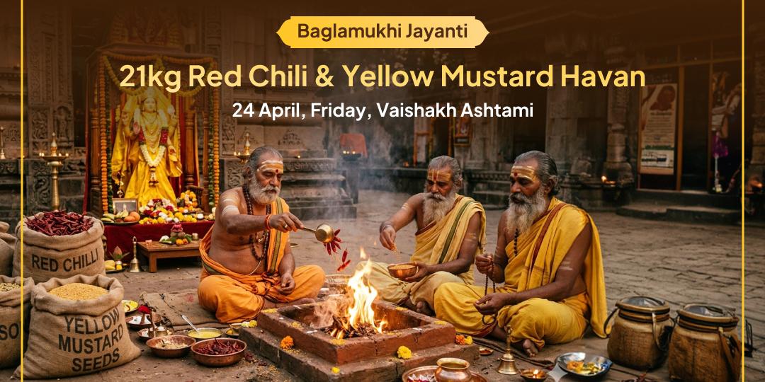 Bagalamukhi Jayanti 21kg Lal Mirchi-21 kg Yellow Mustard Havan For Evil Eye & Enemy Victory