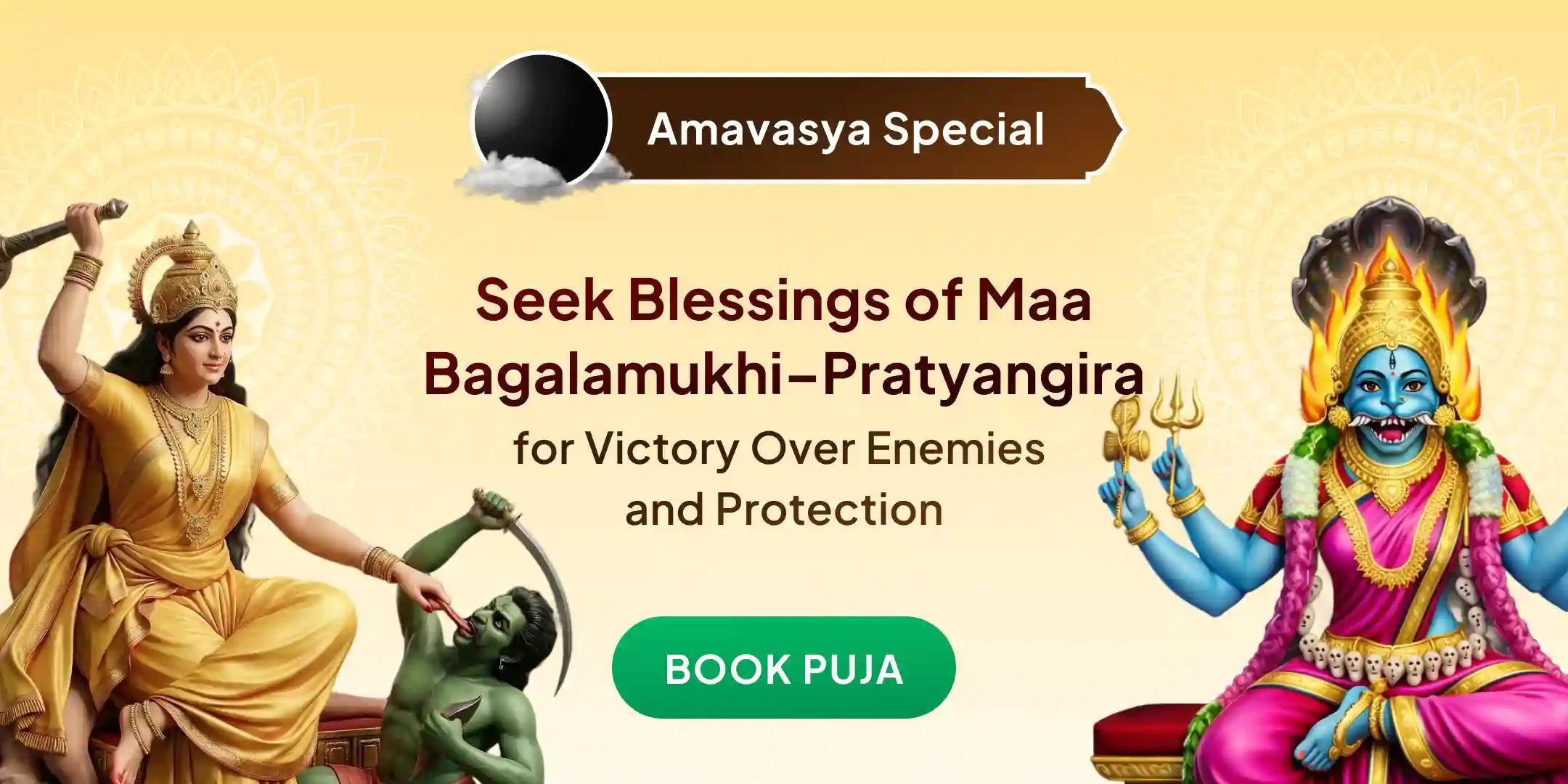 100 Kg Lal Mirch Agni Ahuti Maha Yagya Bagalamukhi-Pratyangira Kavach Anushthan with 1,25,000 Lakh Mool Mantra Jaap