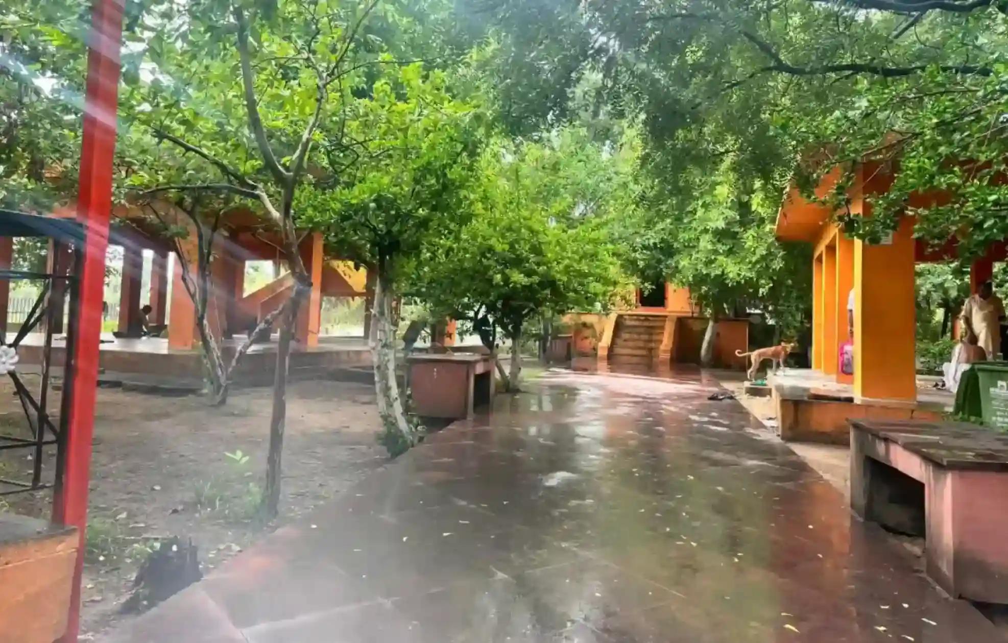 Dharmaranya Vedi, Gaya, Bihar