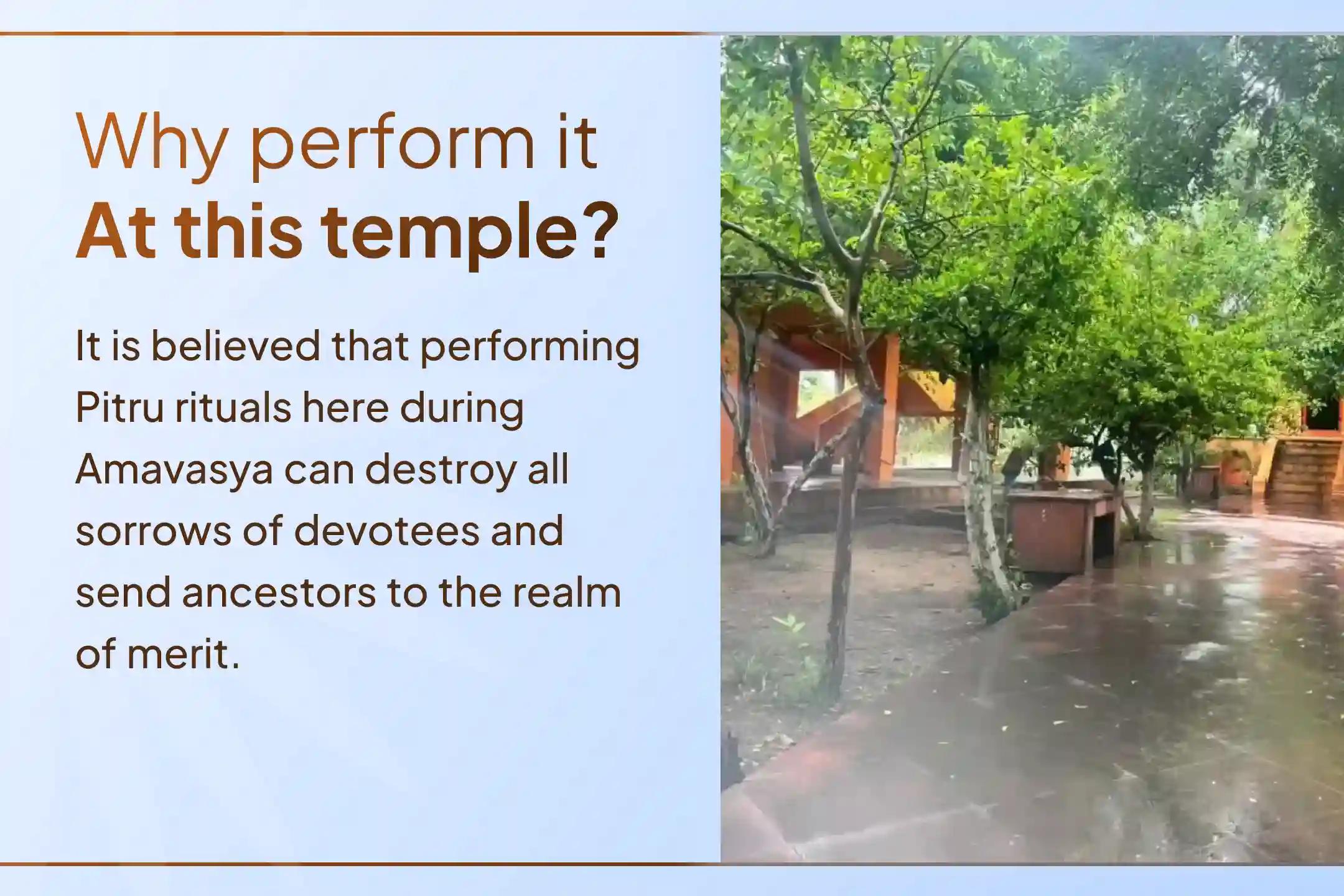 On this sacred Gaya Pitru Dosh Shanti occasion, perform Tripindi Shradh, Pind Daan, Til Tarpanam for ancestors’ peace and family protection blessings.