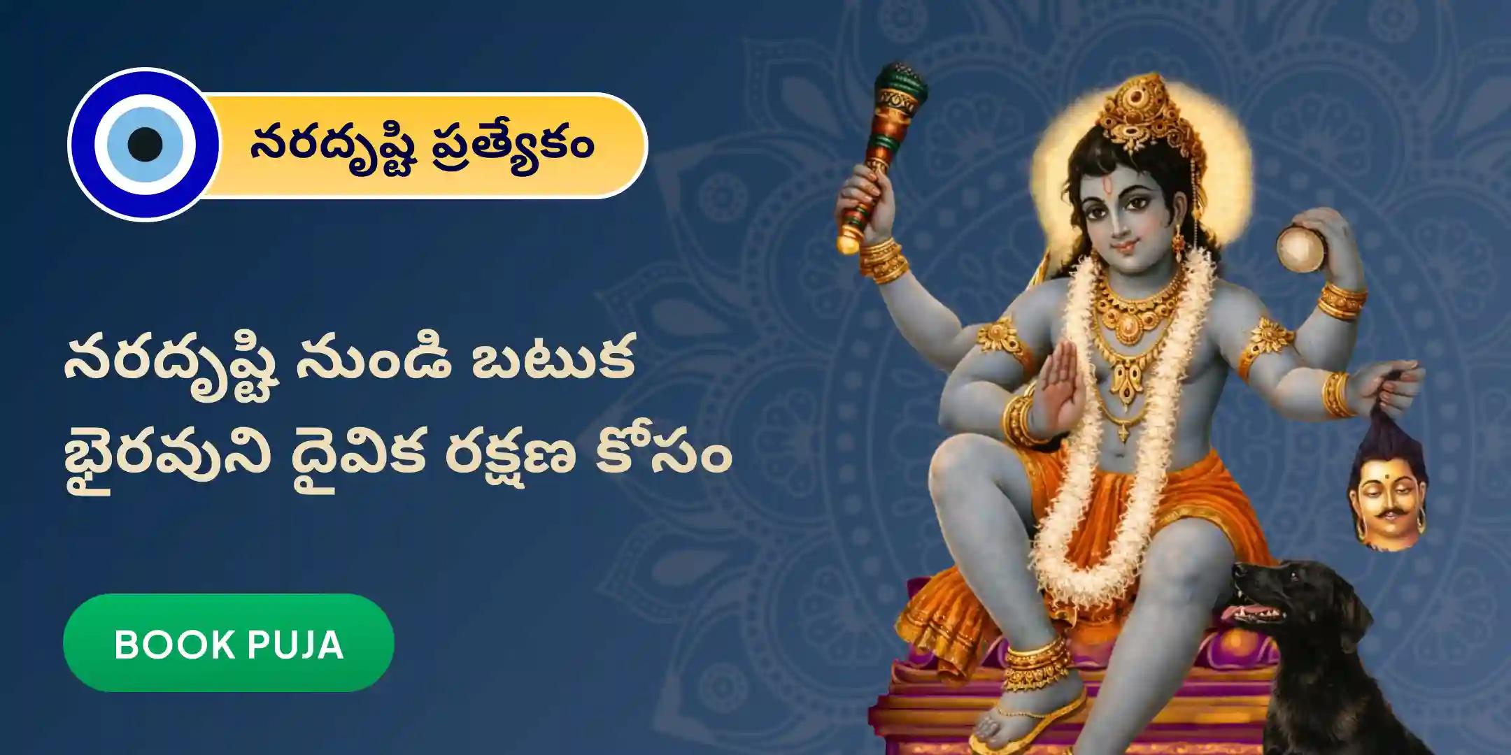 నరదృష్టి దోష శాంతి పూజ మరియు హోమం