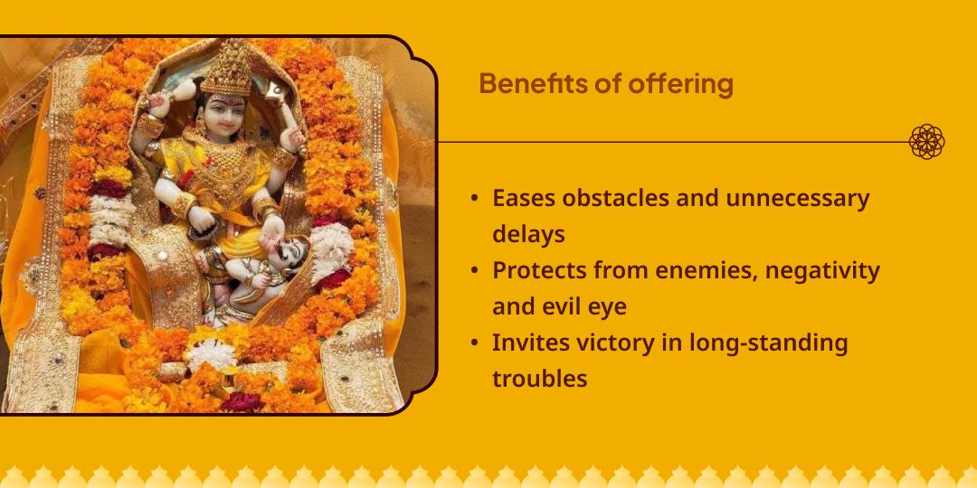 Baglamukhi Jayanti Shri Pitambara Peeth Datia Chadhava