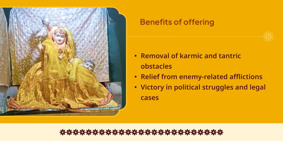 Baglamukhi Jayanti Shatru Nashak 108 Mantra Jaap Chadhava