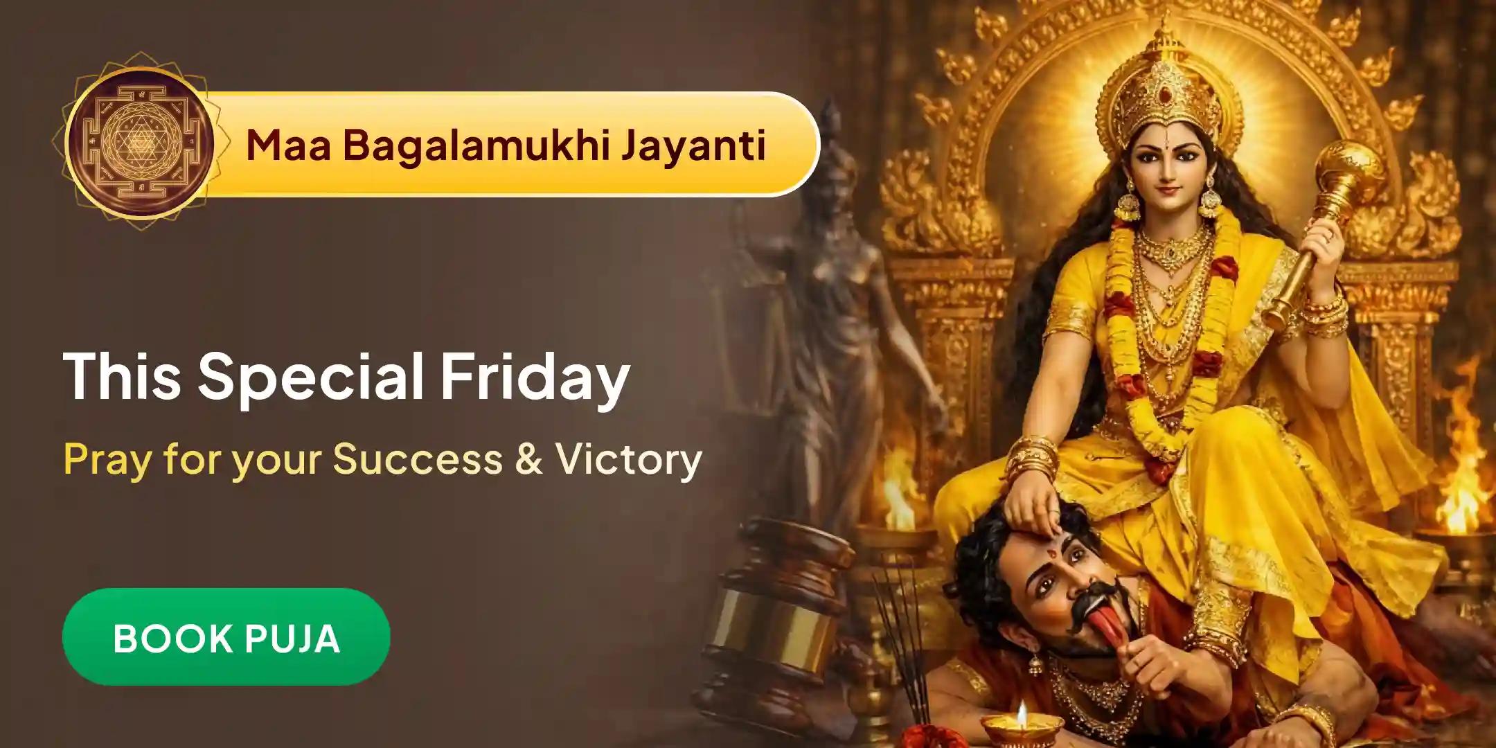 Maa Bagalamukhi 51 kg Haldi Abhishek, 51 kg Yellow flowers Shringar, 51 kg Haldi Ganth Yagya Puja