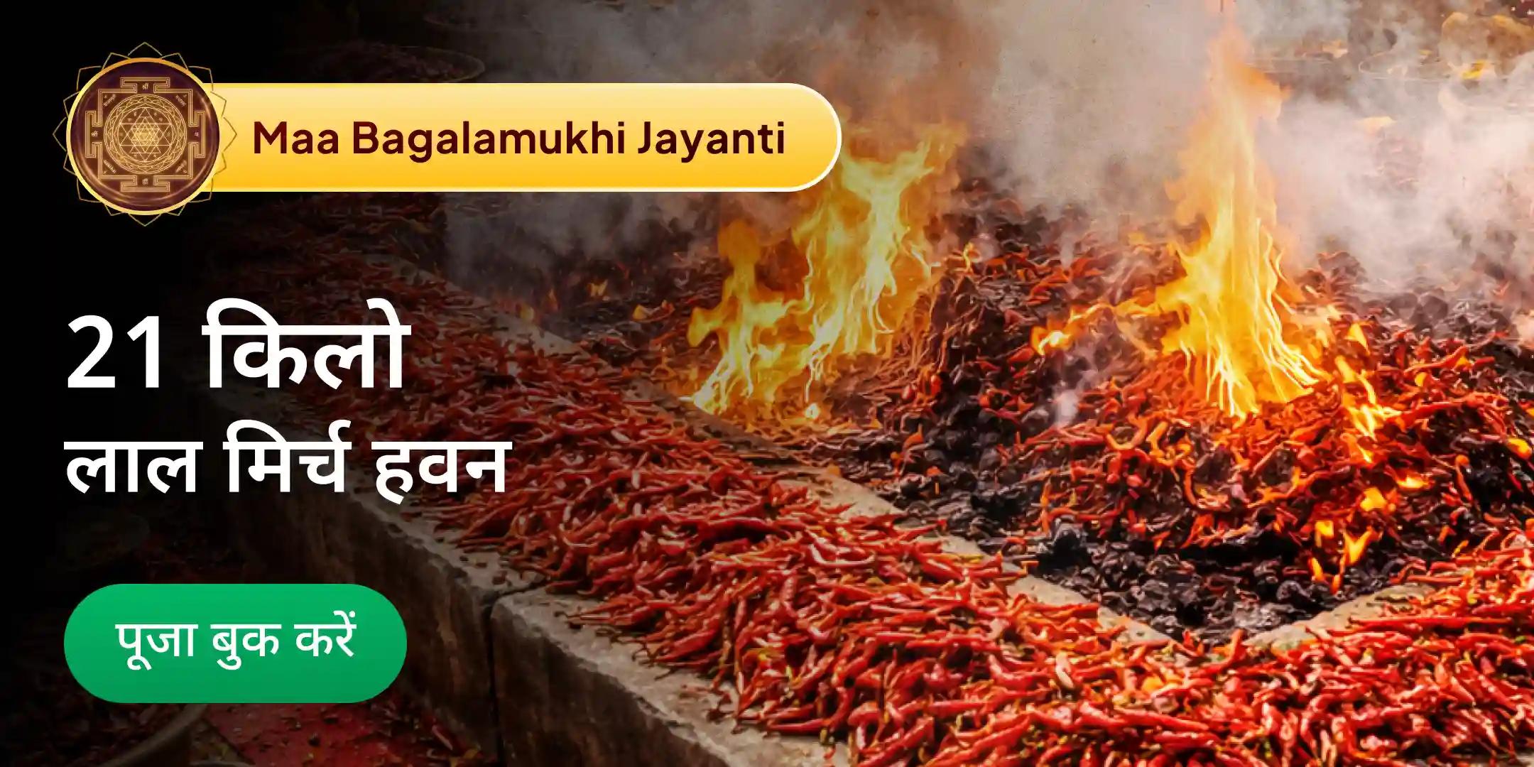 3,60,000 हल्दी-गांठ माला बगलामुखी मंत्र जाप एवं 21 किलो लाल मिर्च हवन