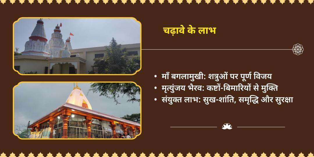 माँ बगलामुखी एवं मृत्युंजय भैरव उज्जैन चढ़ावा 