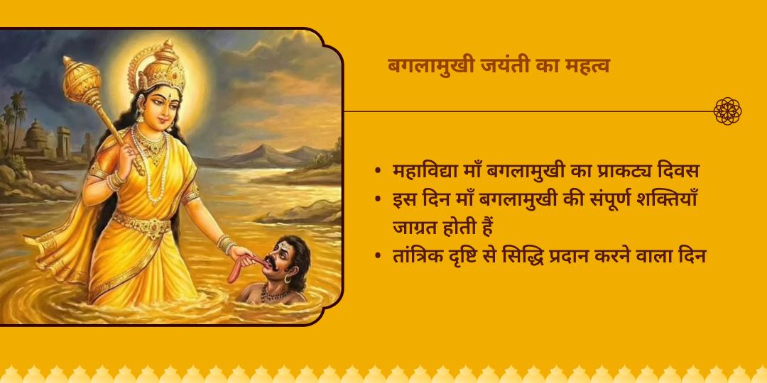 बगलामुखी जयंती माँ बगलामुखी चोला रसम एवं मंगल आरती 