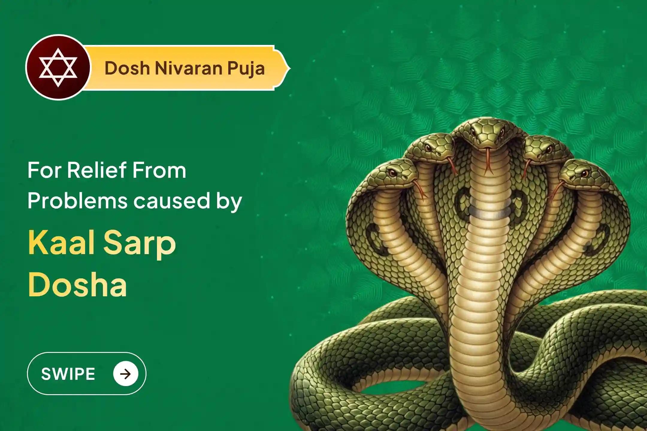 ✨ Seek blessings for relief from marital issues and karmic burdens through Kaal Sarp Shanti Puja, aligned with the divine Ardra Nakshatra period and the sacred energy of Trimbakeshwar Jyotirlinga