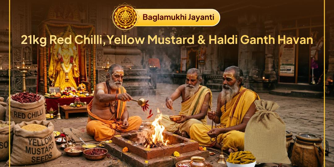 On Baglamukhi Jayanti, offer your oblations in the 21kg Red Chili Havan and 21kg Yellow Mustard Havan simultaneously for Evil Eye Removal and Victory over Enemies!