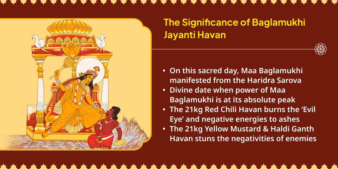 Bagalamukhi Jayanti 21kg Lal Mirchi, Yellow Mustard & Haldi Ganth Havan Aahuti