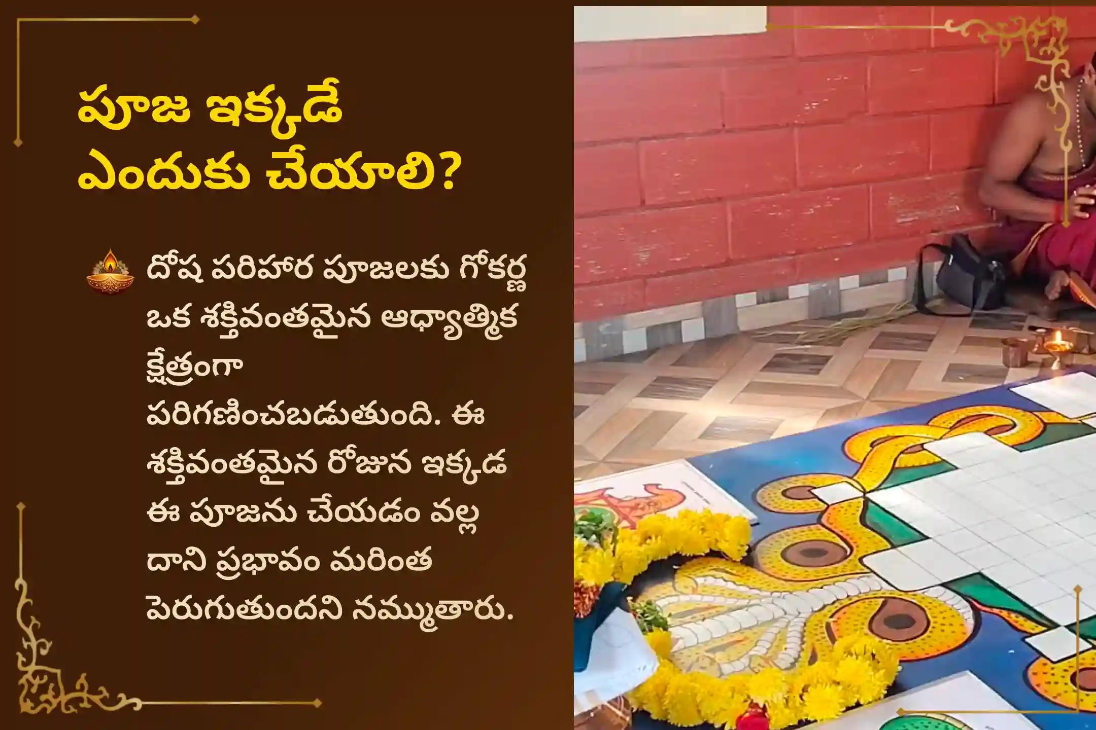 సర్ప (నాగ) దోషం యొక్క దుష్ప్రభావాలను తొలగించి, కర్మ పాపాలను ప్రక్షాళన చేసుకోవడం కొరకు స్కంద షష్ఠి ప్రత్యేక ఆశ్లేషబలి పూజలో పాల్గొనండి.