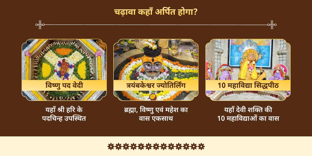 पूर्णिमा 10 महाविद्या हवन, श्री महा विष्णु एवं त्रयंबकेश्वर ज्योतिर्लिंग 3 मंदिर चढ़ावा 