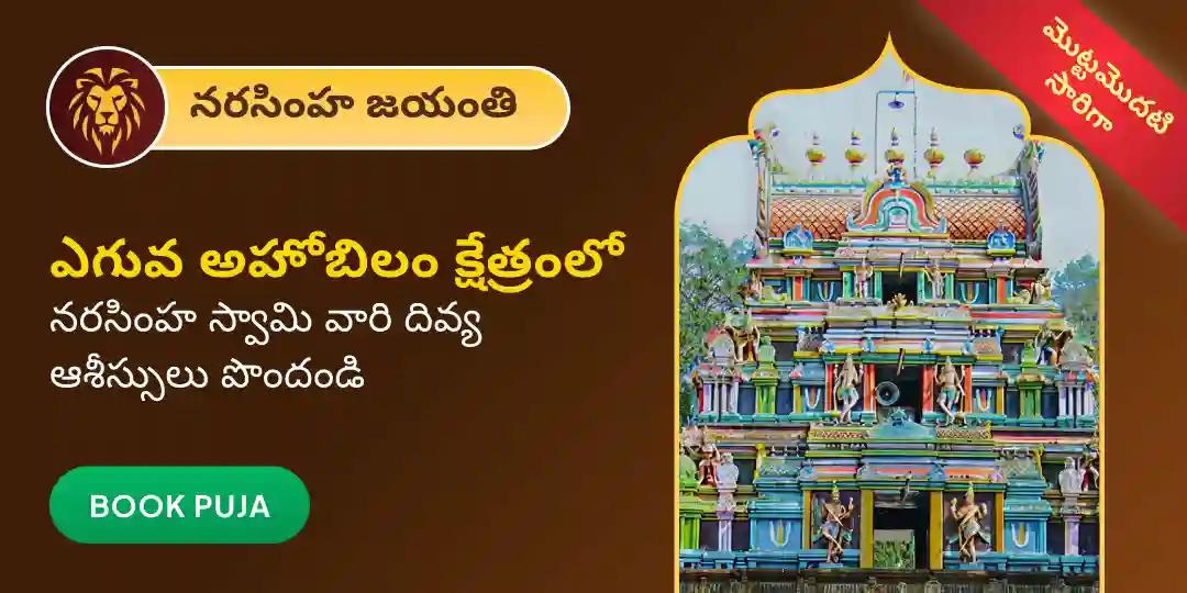 అహోబిలం నరసింహ జయంతి ప్రత్యేక - నరసింహ సుదర్శన హోమం