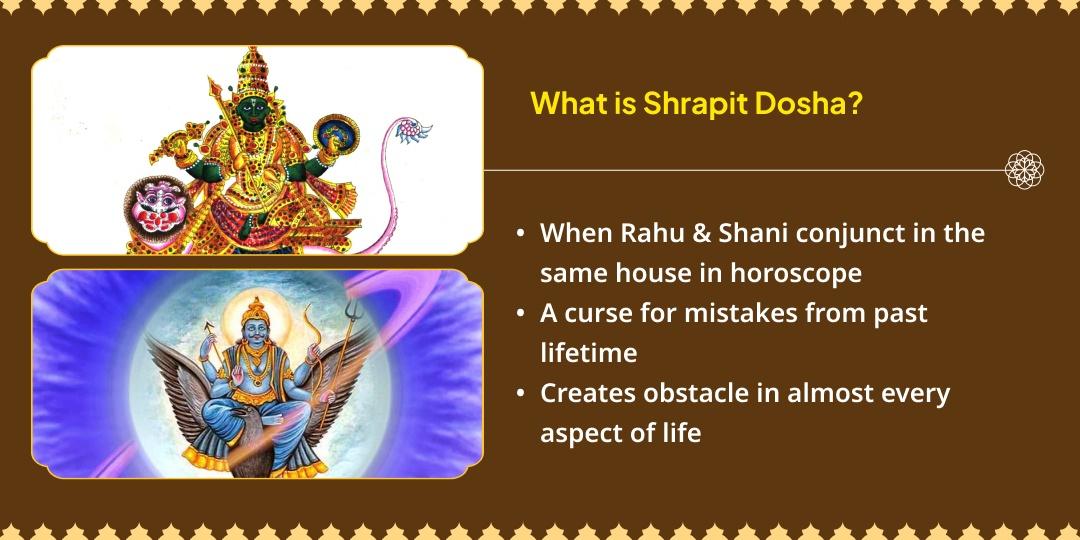 Rahu-Shani Shrapit Dosha Shani Hawan Ahuti & Til-Tel Abhishek
