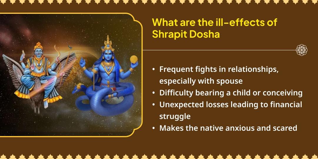 Rahu-Shani Shrapit Dosha Shani Hawan Ahuti & Til-Tel Abhishek