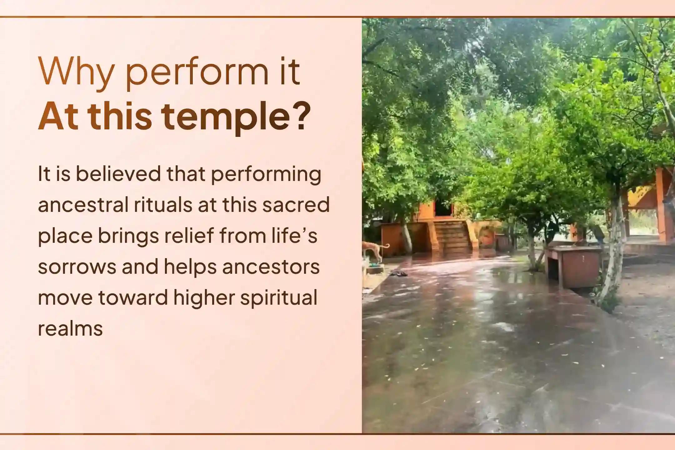 📿 When ancestors’ blessings are with you, progress becomes easier… On this Purnima, receive the true direction of family happiness through Pitru Anushthan 📿