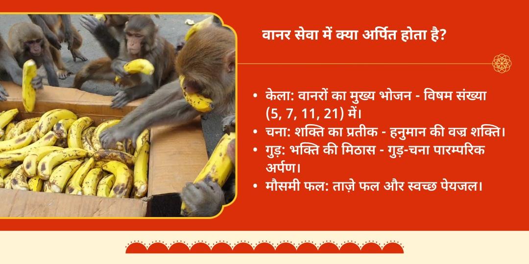 बड़ा मंगल हनुमत प्रिय वानर सेवा अयोध्या में 