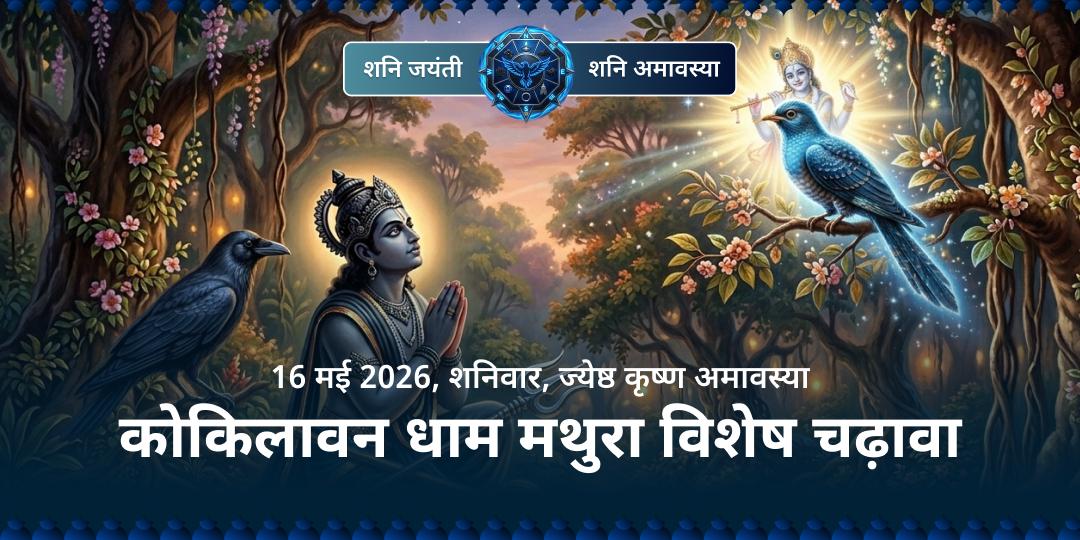 शनि जयंती कोकिलावन धाम मथुरा विशेष चढ़ावा 