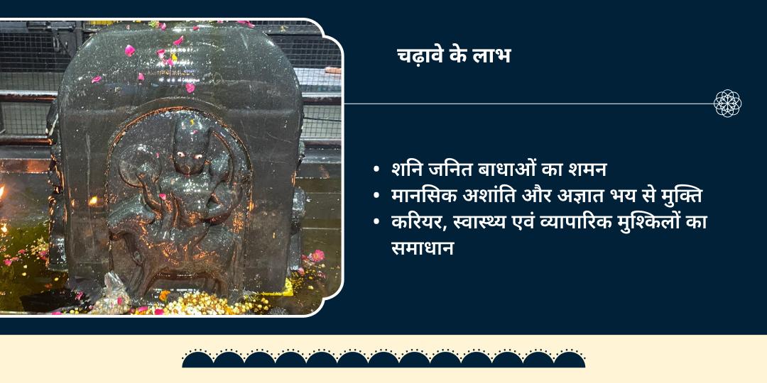 शनि जयंती कोकिलावन धाम मथुरा विशेष चढ़ावा 