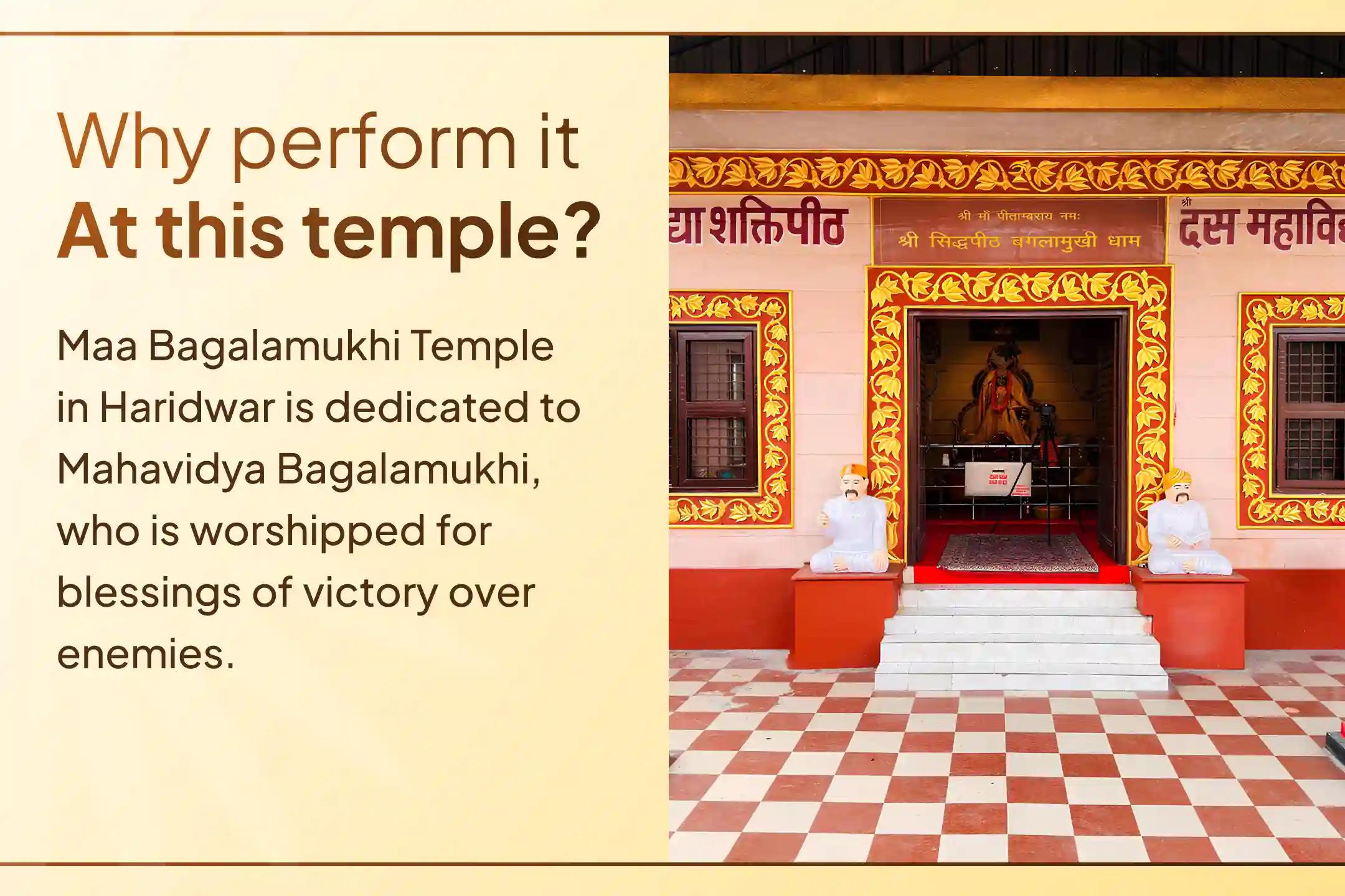 🚩 This Bada Mangal, invoke Hanuman ji’s divine protection and Maa Bagalamukhi’s power to silence enemies and remove negativity from your life