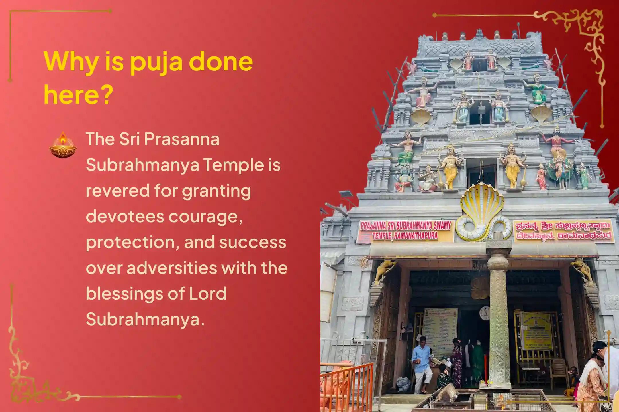 🕉️Participate in the Special four Tuesdays package of Subrahmanya Ashtottara Archana and Abhishekam in Prasanna Subrahmanya Swamy Temple, for Protection from hidden enemies and Resolving Challenges🙏