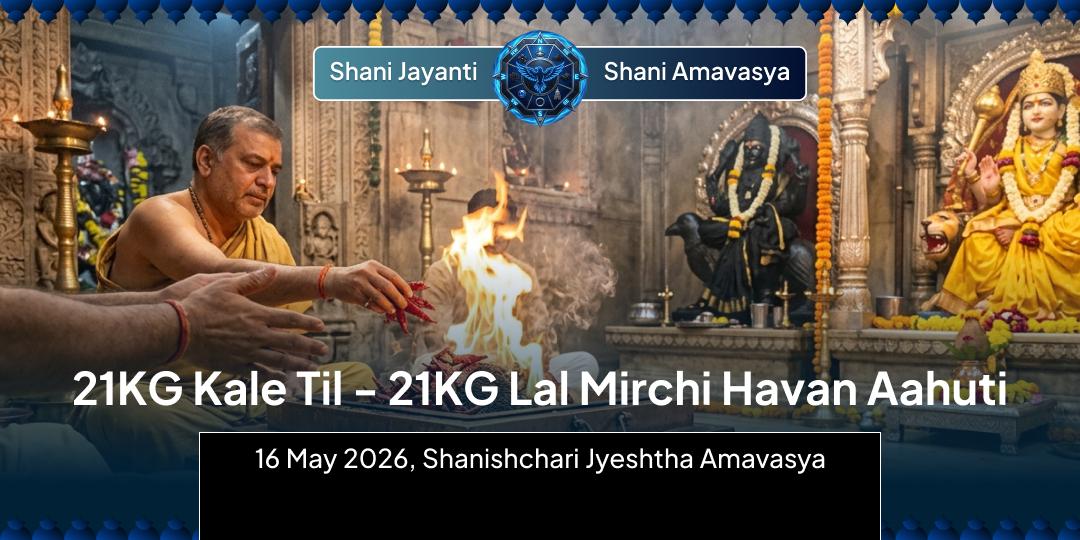 Shani Jayanti-Amavasya 21KG Kale Til - 21KG Lal Mirchi Hawan Ahuti for All Doshas & Evil Eye Removal
