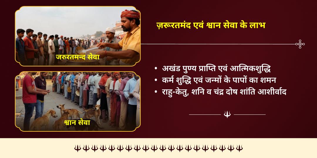 कालाष्टमी काशी जरूरतमंद एवं भैरव प्रिय वाहन श्वान सेवा 
