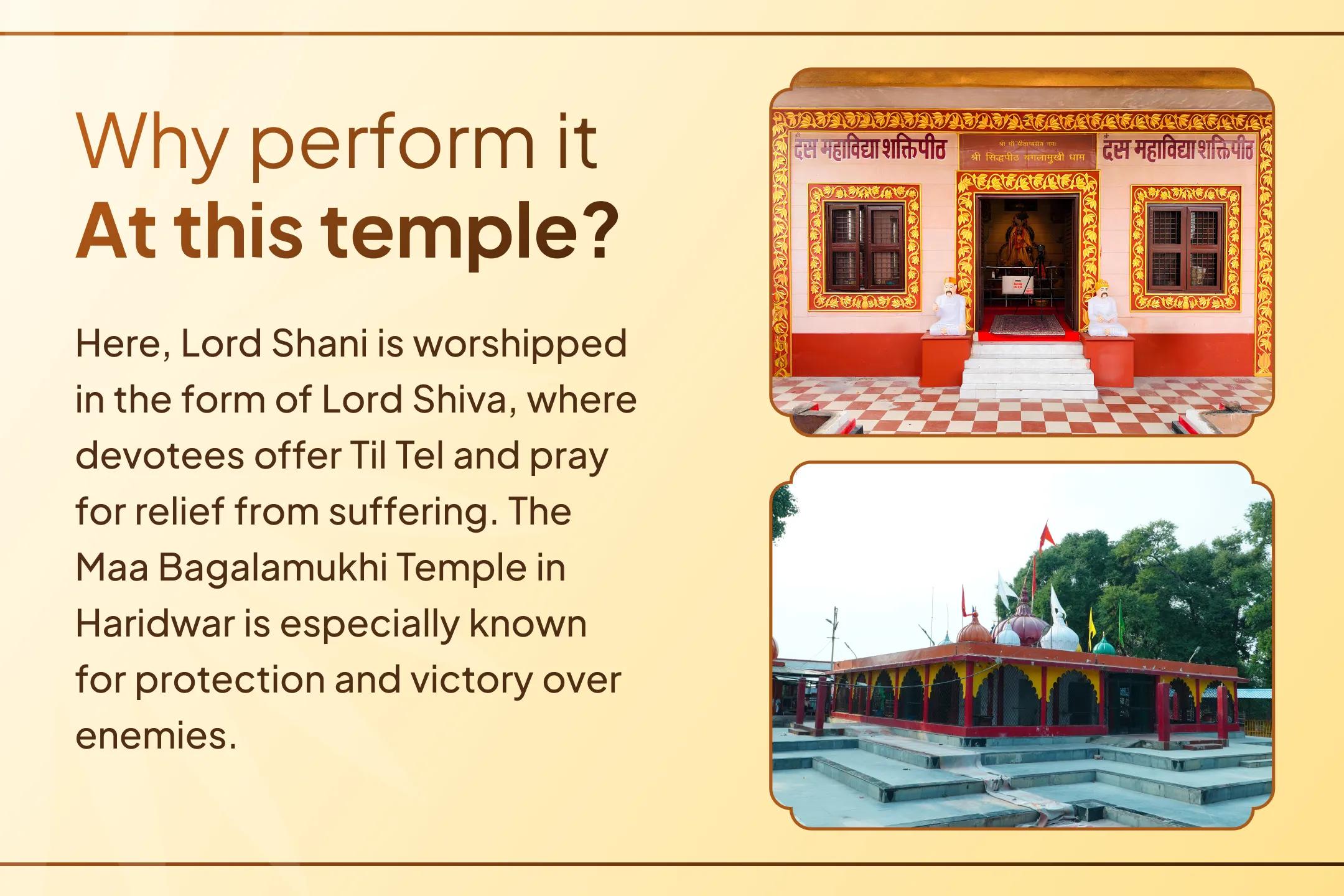 ⚖️ Through the combined worship of Maa Bagalamukhi and Lord Shani, receive divine blessings for victory over enemies and success in legal matters.