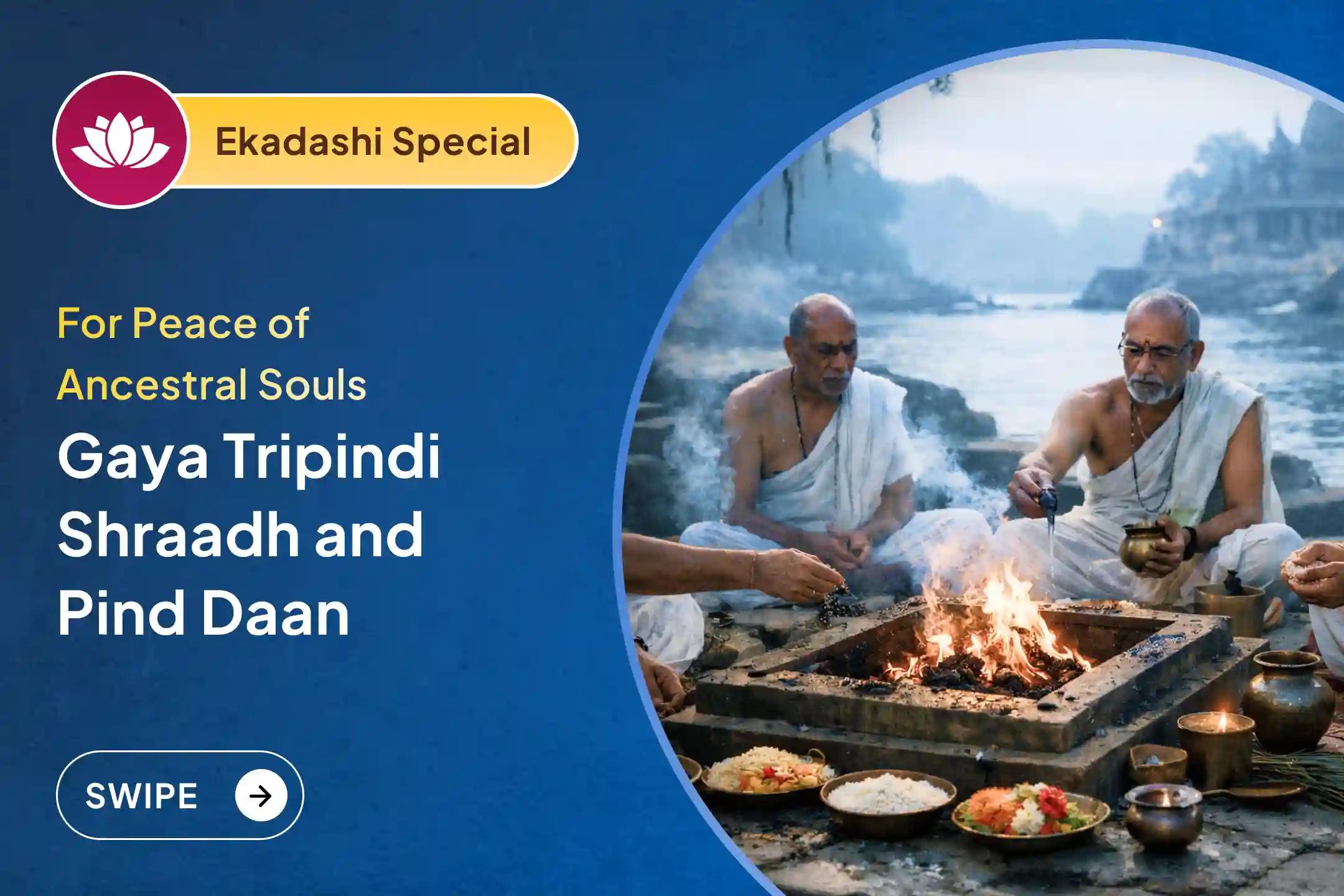 On this sacred Gaya Pitru Dosh Shanti occasion, perform Tripindi Shradh, Pind Daan, Til Tarpanam for ancestors’ peace and family protection blessings.