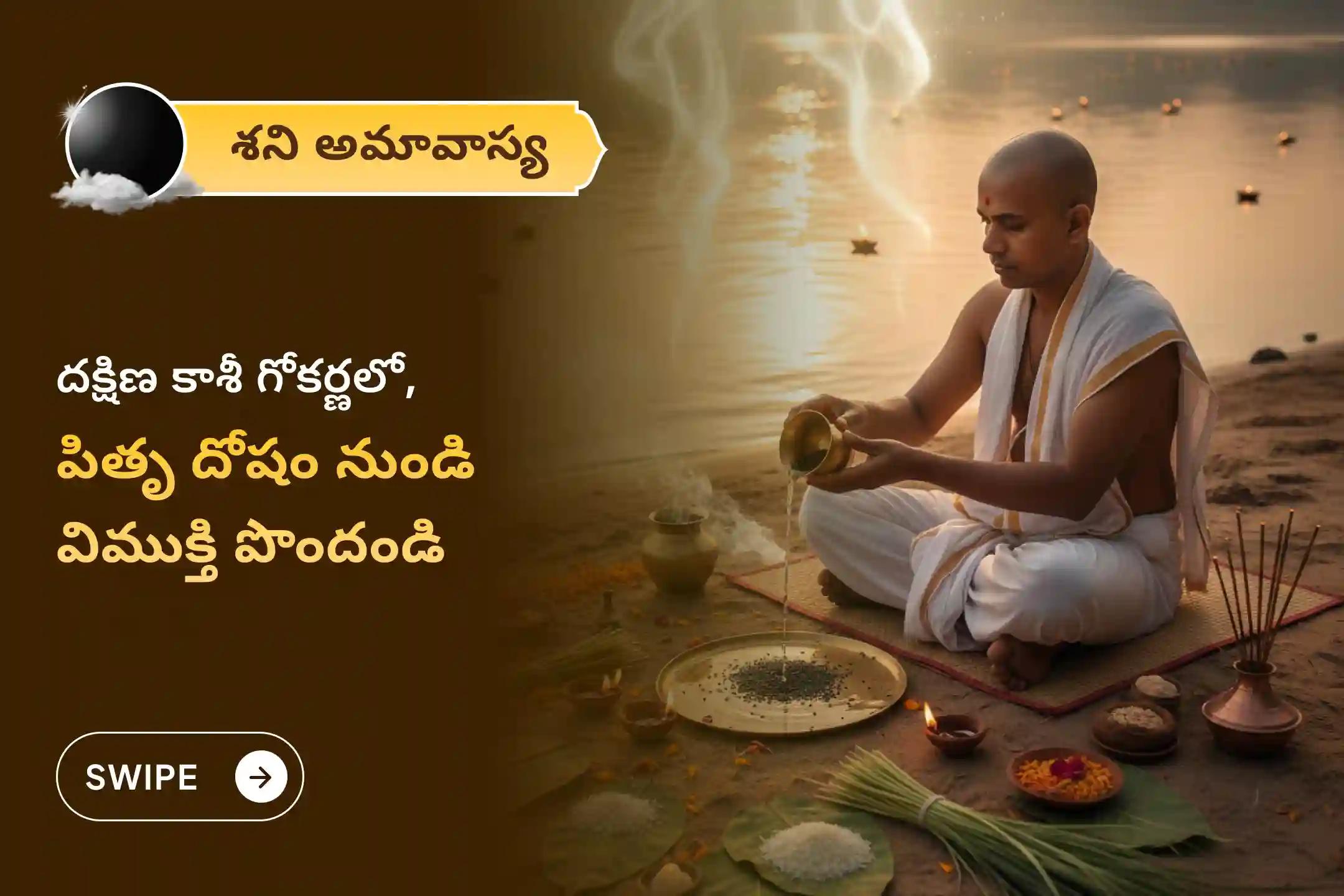 పితృల శాపాల నుండి విముక్తి అలాగే మరణించిన ఆత్మలకు శాంతి కోసం శని అమావాస్య పితృ శాంతి ప్రత్యేక నారాయణ బలి పూజ, త్రిపిండి శ్రాద్ధం, పితృ దోష శాంతి పూజ మరియు తిల హోమంలో పాల్గొనండి.