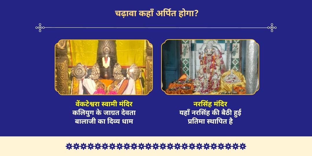 अपरा एकादशी 7-जन्म पाप नाशक विशेष विष्णु अवतार चढ़ावा 