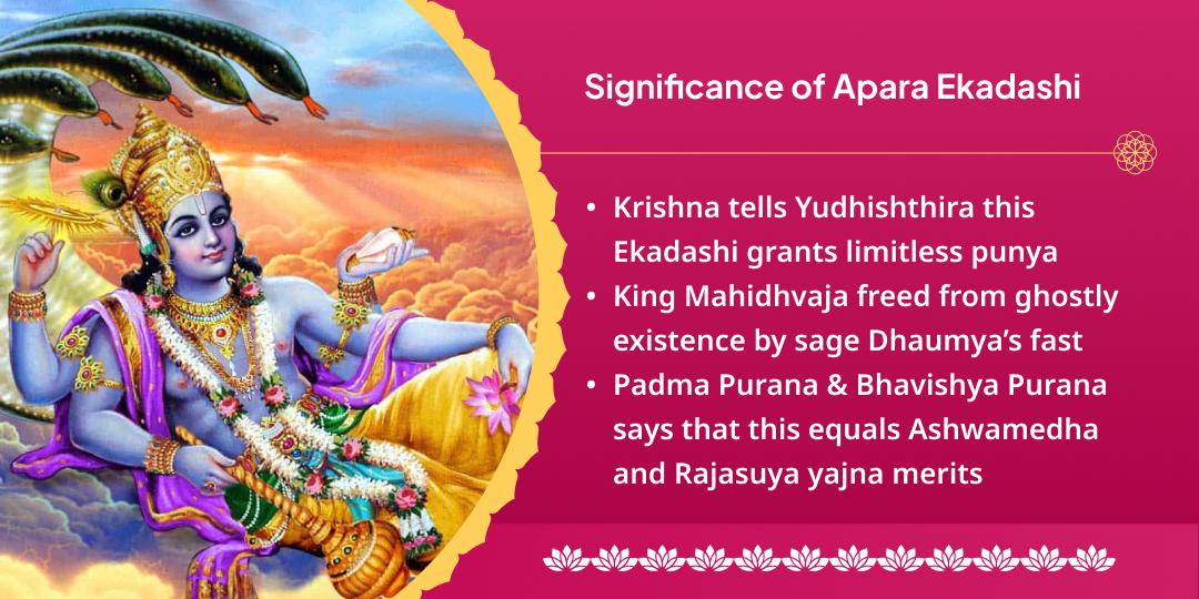 Apara Ekadashi Shri Hari Vishnu Sampooran Chadhava, Havan, Abhishek, Paath & Panda Seva 