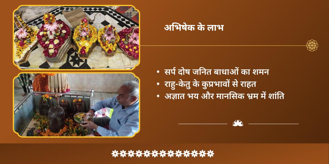 अधिक मास पंचमी सर्प दोष शांति 2 तीर्थ दुग्ध अभिषेक 