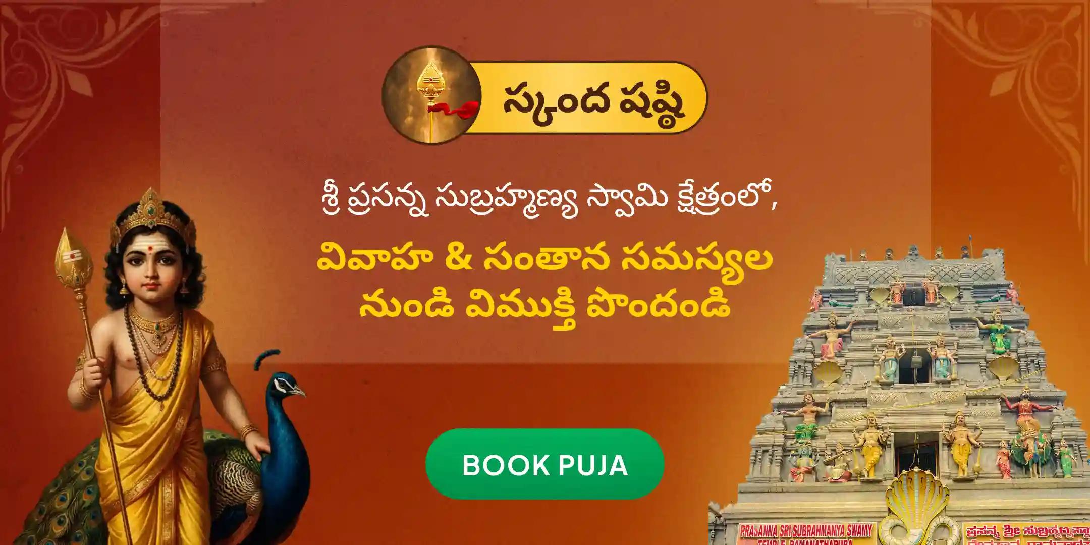 నాగ ప్రతిష్ఠ పూజ