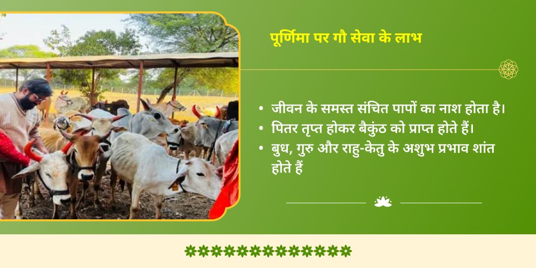 अधिक पूर्णिमा पूर्ण पुरुषोत्तम श्री कृष्ण प्रिय वृंदावन गौसेवा