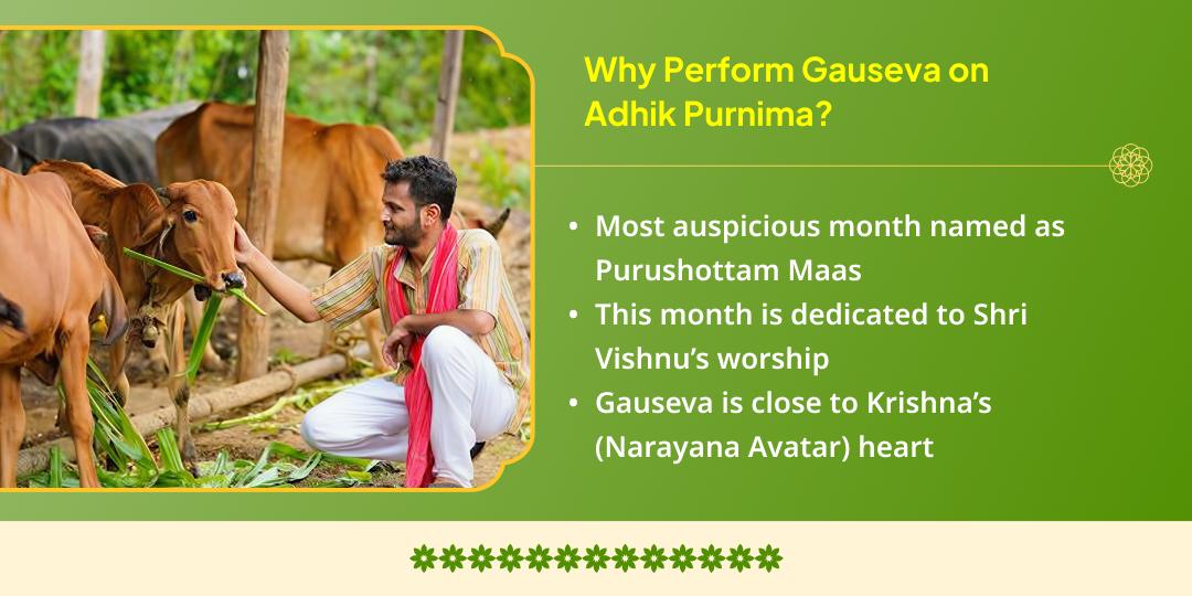 Adhik Purnima Purna Purushottam Shri Krishna Priya Vrindavan Gauseva  