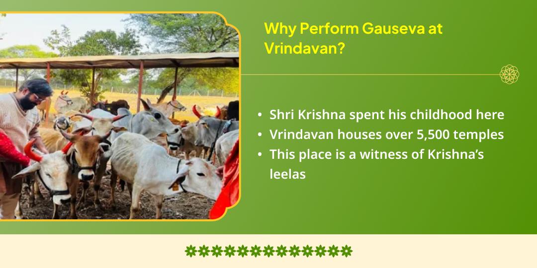 Adhik Purnima Purna Purushottam Shri Krishna Priya Vrindavan Gauseva  