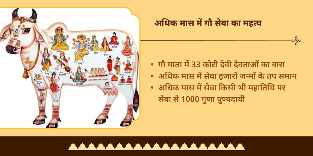 अधिक मास तीर्थराज प्रयाग त्रिवेणी संगम गौ सेवा