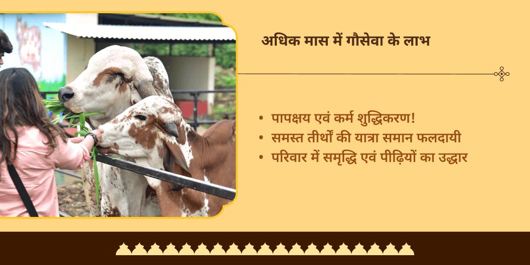 अधिक मास तीर्थराज प्रयाग त्रिवेणी संगम गौ सेवा