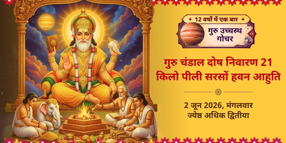 गुरु गोचर गुरु चंडाल दोष निवारण 21 किलो पीली सरसों हवन आहुति