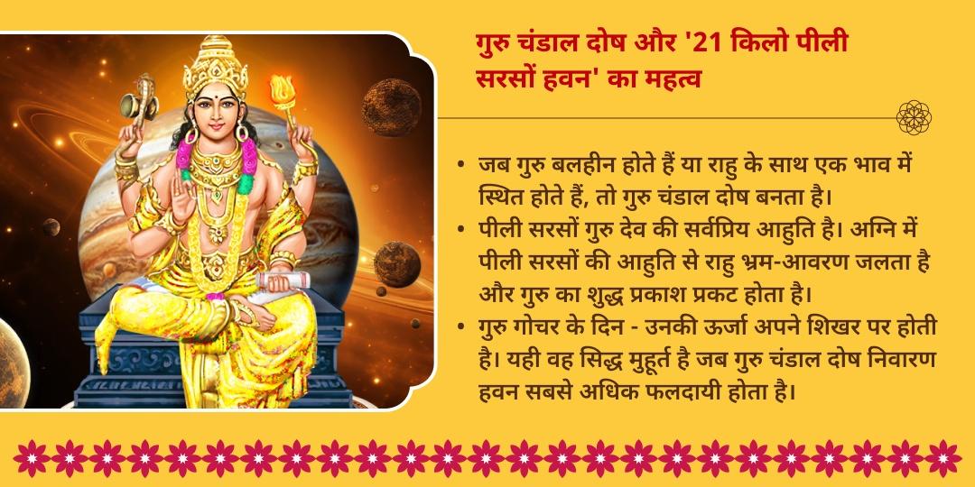गुरु गोचर गुरु चंडाल दोष निवारण 21 किलो पीली सरसों हवन आहुति
